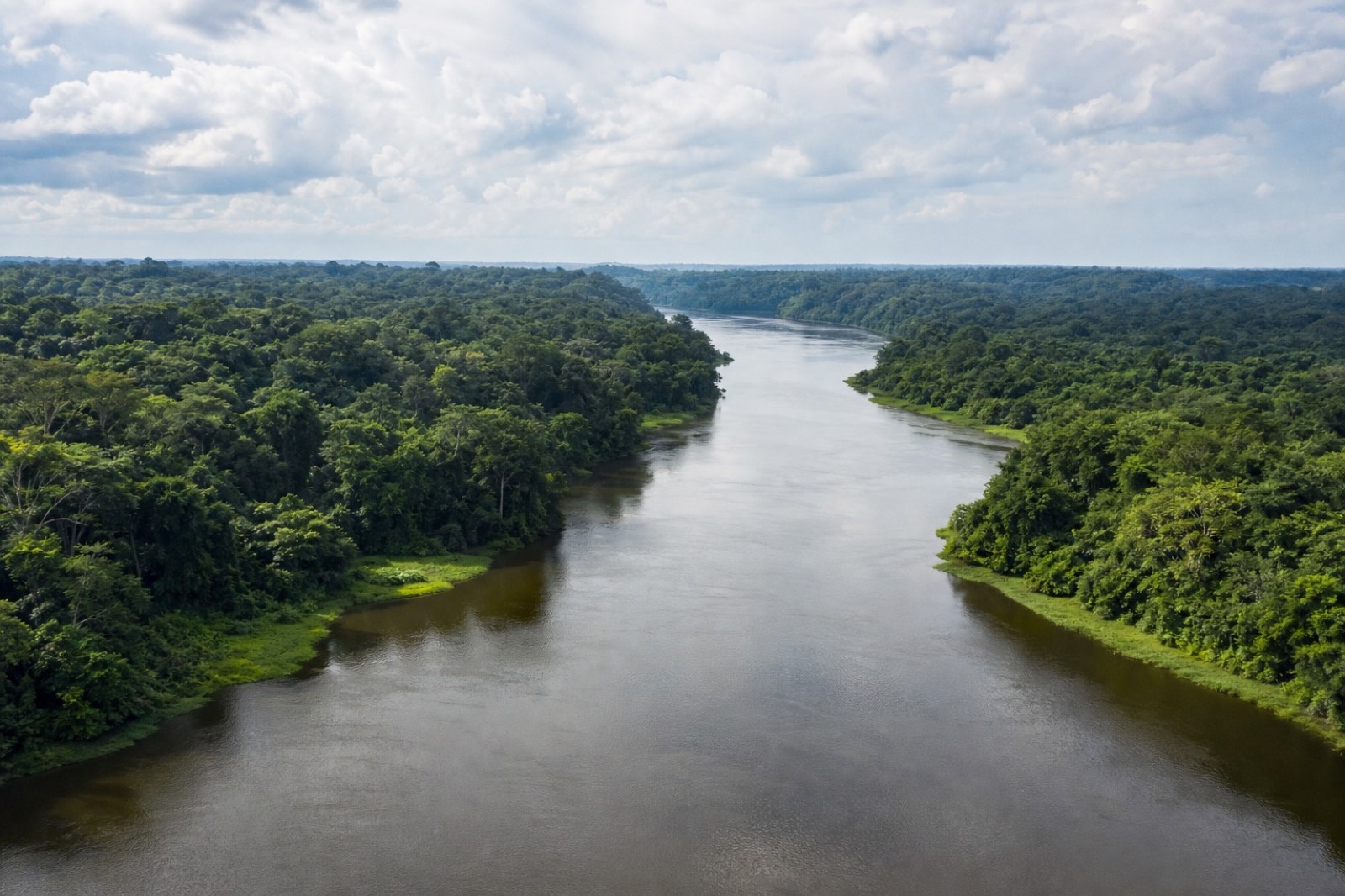 Fleuve Congo à travers la forêt équatoriale